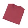 Inspirational Unisex Softstyle T-Shirt - "Hold the Vision, Trust the Process"
