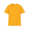 Inspirational Unisex Softstyle T-Shirt - "Hold the Vision, Trust the Process"