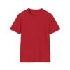 Inspirational Unisex Softstyle T-Shirt - "Hold the Vision, Trust the Process"