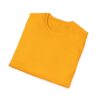 Inspirational Unisex Softstyle T-Shirt - "Hold the Vision, Trust the Process"