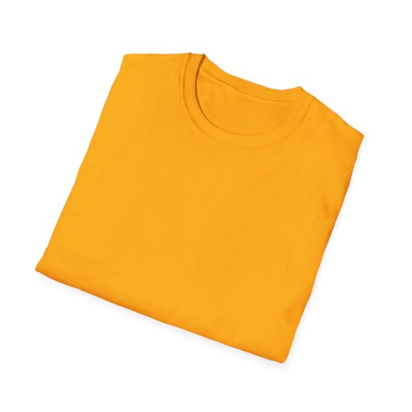 Inspirational Unisex Softstyle T-Shirt - "Hold the Vision, Trust the Process"