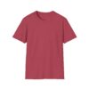Inspirational Unisex Softstyle T-Shirt - "Hold the Vision, Trust the Process"