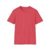 Inspirational Unisex Softstyle T-Shirt - "Hold the Vision, Trust the Process"