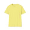 Inspirational Unisex Softstyle T-Shirt - "Hold the Vision, Trust the Process"
