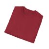 Inspirational Unisex Softstyle T-Shirt - "Hold the Vision, Trust the Process"