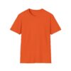 Inspirational Unisex Softstyle T-Shirt - "Hold the Vision, Trust the Process"